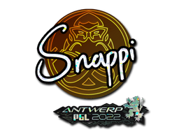 印花 | Snappi（闪耀） | 2022年安特卫普锦标赛