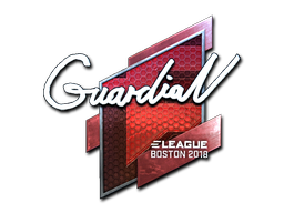 印花 | GuardiaN（闪亮）| 2018年波士顿锦标赛