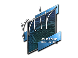 Наклейка | mir | Бостон 2018