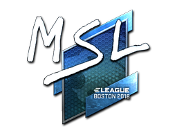 印花 | MSL（闪亮）| 2018年波士顿锦标赛