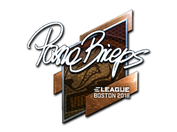 印花 | pashaBiceps（闪亮）| 2018年波士顿锦标赛