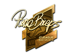 印花 | pashaBiceps（金色）| 2018年波士顿锦标赛