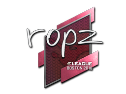 ropz | 2018年波士顿锦标赛