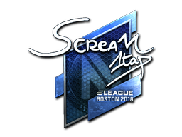 印花 | ScreaM（闪亮）| 2018年波士顿锦标赛