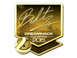 Наклейка | boltz (золотая) | Клуж-Напока 2015