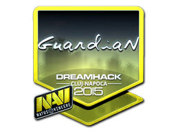 印花 | GuardiaN（闪亮）| 2015年卢日-纳波卡锦标赛