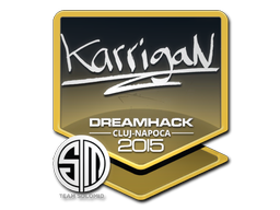 karrigan | 2015年克卢日-纳波卡锦标赛