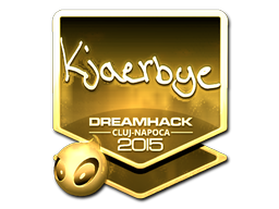 印花 | Kjaerbye（金色）| 2015年卢日-纳波卡锦标赛