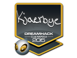 Kjaerbye | 2015年卢日-纳波卡锦标赛