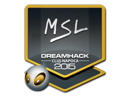 MSL | 2015年卢日-纳波卡锦标赛