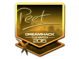 印花 | peet（金色）| 2015年卢日-纳波卡锦标赛