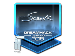 Наклейка | ScreaM (металлическая) | Клуж-Напока 2015