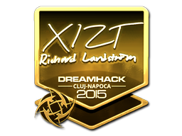 印花 | Xizt（金色）| 2015年卢日-纳波卡锦标赛
