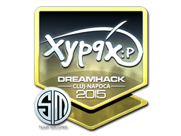 Наклейка | Xyp9x (металлическая) | Клуж-Напока 2015