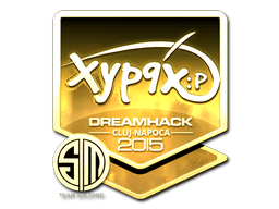 印花 | Xyp9x（金色）| 2015年卢日-纳波卡锦标赛