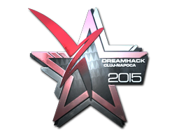 印花 | Vexed Gaming（闪亮）| 2015年卢日-纳波卡锦标赛