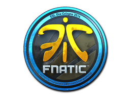 印花 | Fnatic（闪亮）| 2014年科隆锦标赛