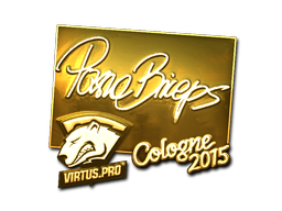 印花 | pashaBiceps（金色）| 2015年科隆锦标赛