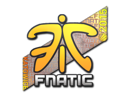 印花 | Fnatic（全息）| 2015年卡托维兹锦标赛
