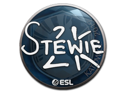 Stewie2K | 2019年卡托维兹锦标赛
