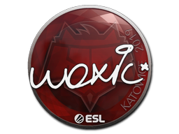 woxic | 2019年卡托维兹锦标赛