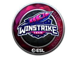 印花 | Winstrike Team（闪亮）| 2019年卡托维兹锦标赛