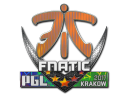 印花 | Fnatic（全息）| 2017年克拉科夫锦标赛