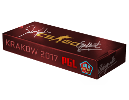 Сувенирный набор «PGL Krakow 2017 Mirage»