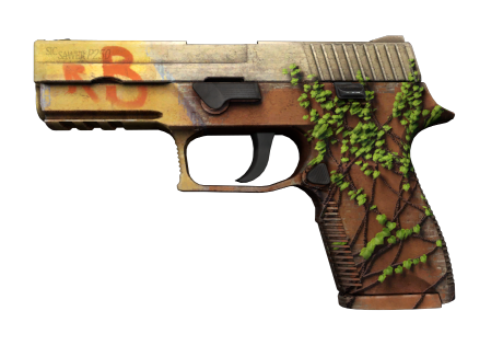 lZbM8xP